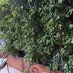 Cesare\'S Home